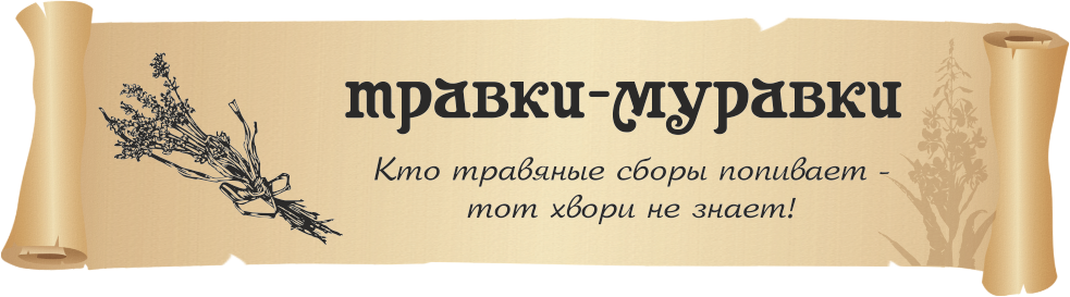 Травки-муравки